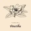 Tarsinj - ซ่อนกลิ่น - Single